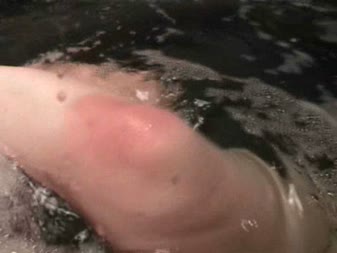 Alice In RubberLand - Hypnosis Heavy Rubber Hot Tub Full Movie Mistress Alice Alice In RubberLand - Hypnosis Heavy Rubber Hot Tub Full Movie Mistress Alice